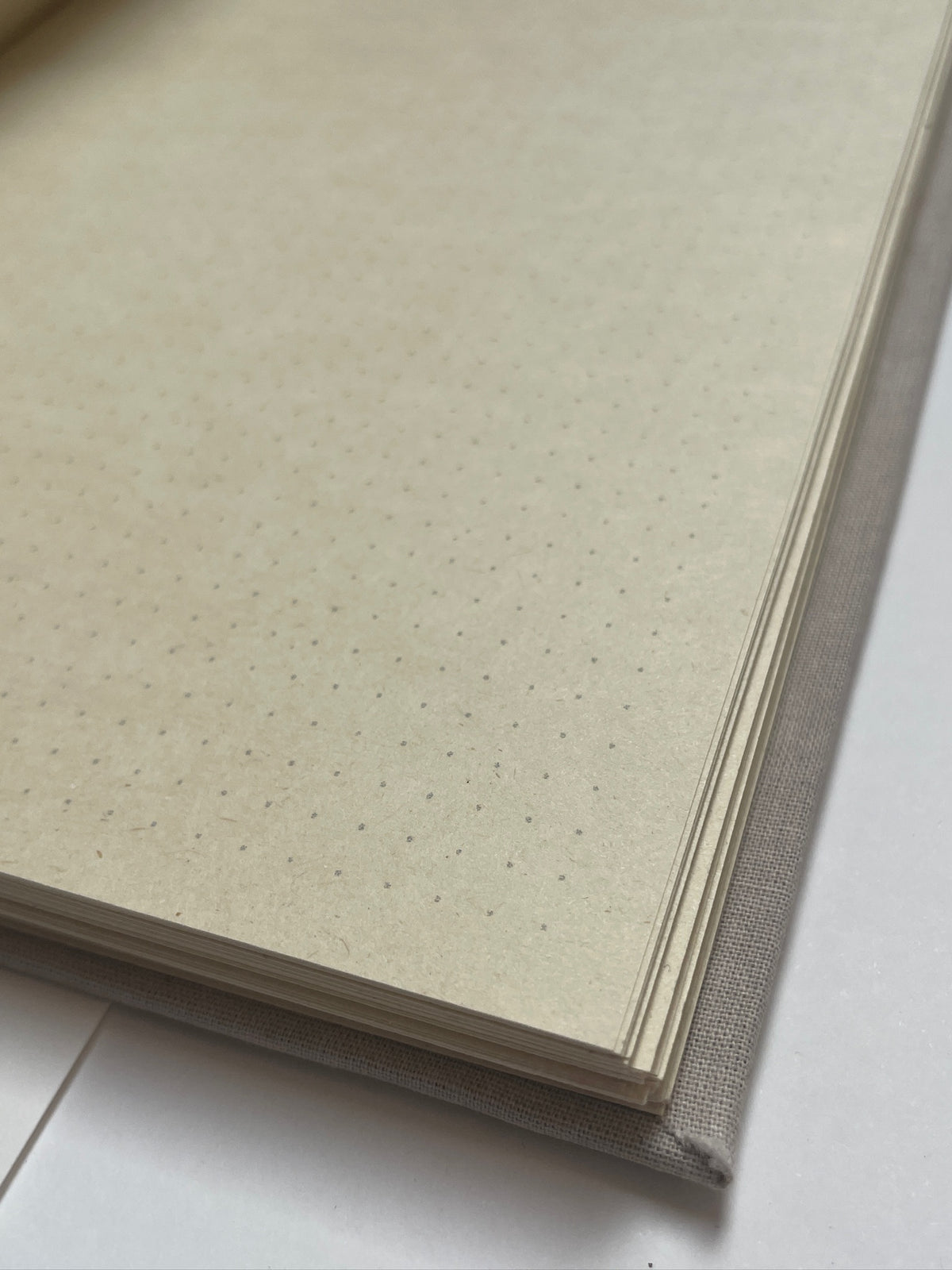 Bullet Journal Bihotz