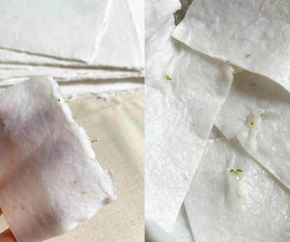 Landatzeko egutegia 2026