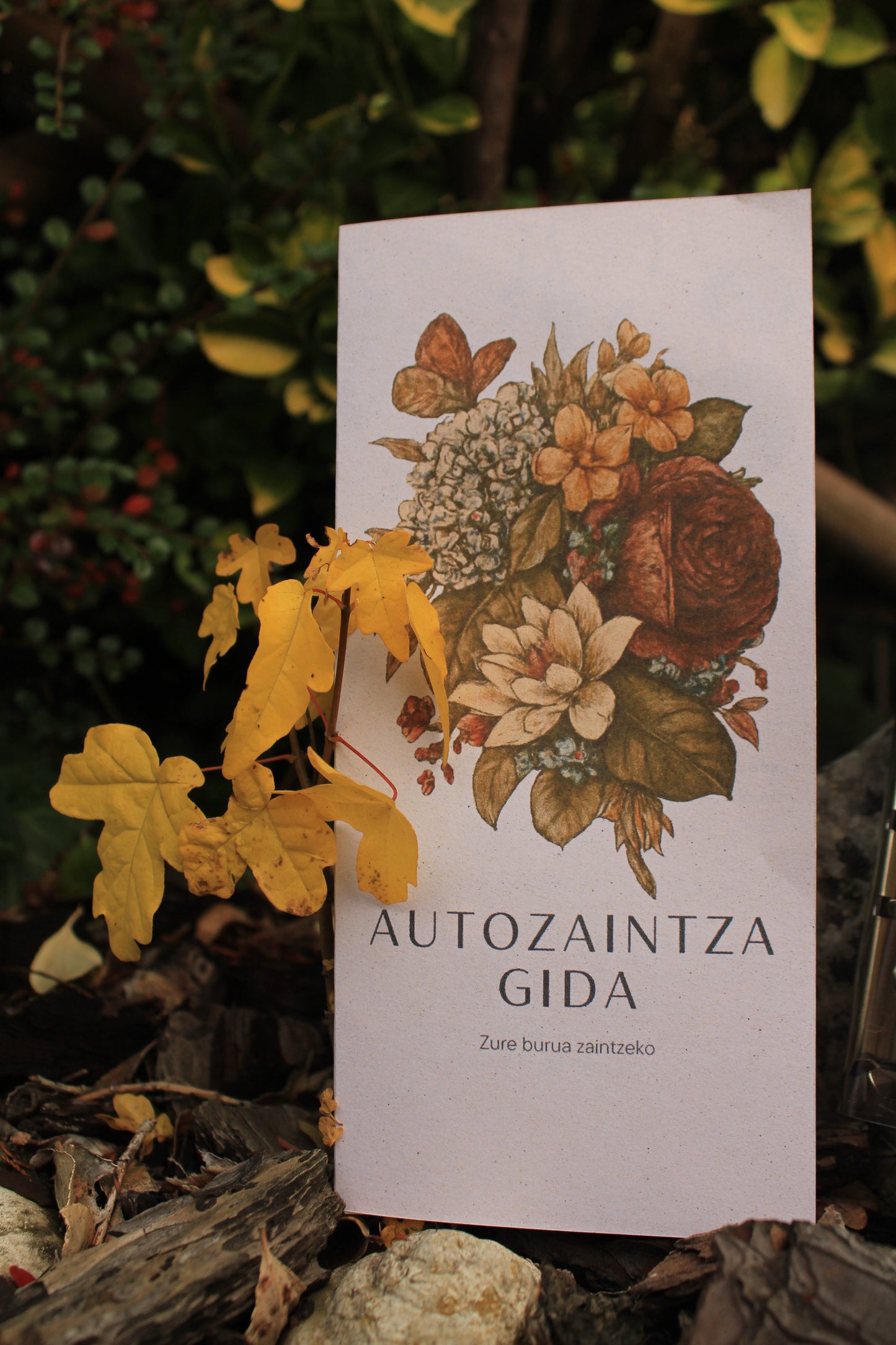 Autozaintza kutxa berezia