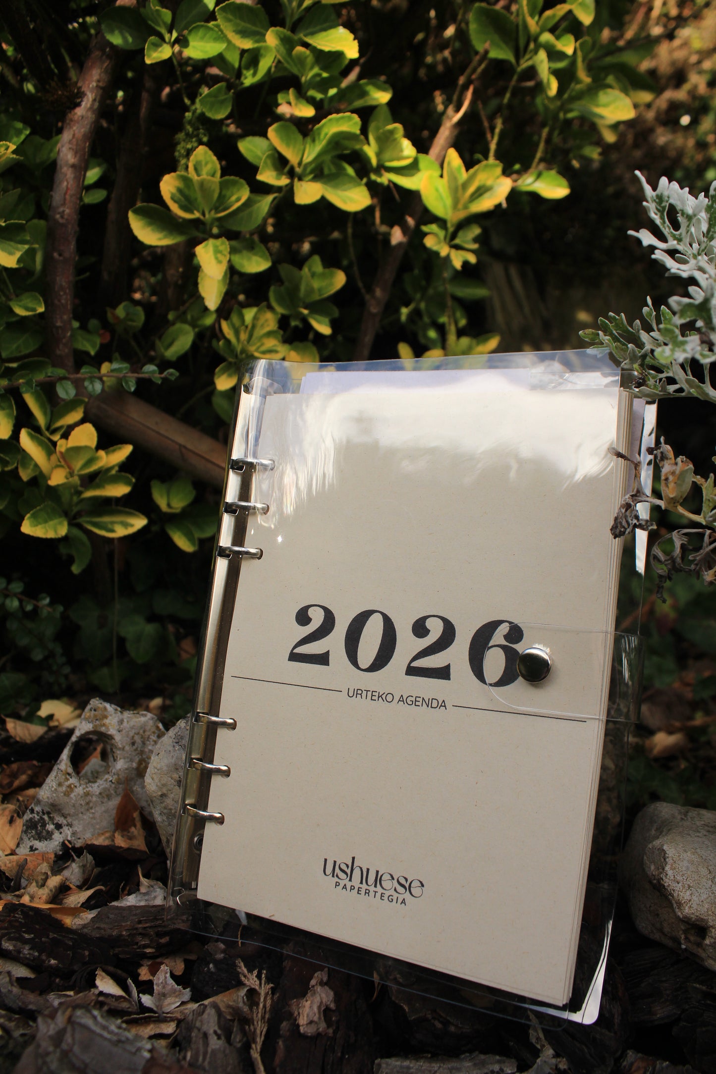 Autozaintza kutxa berezia